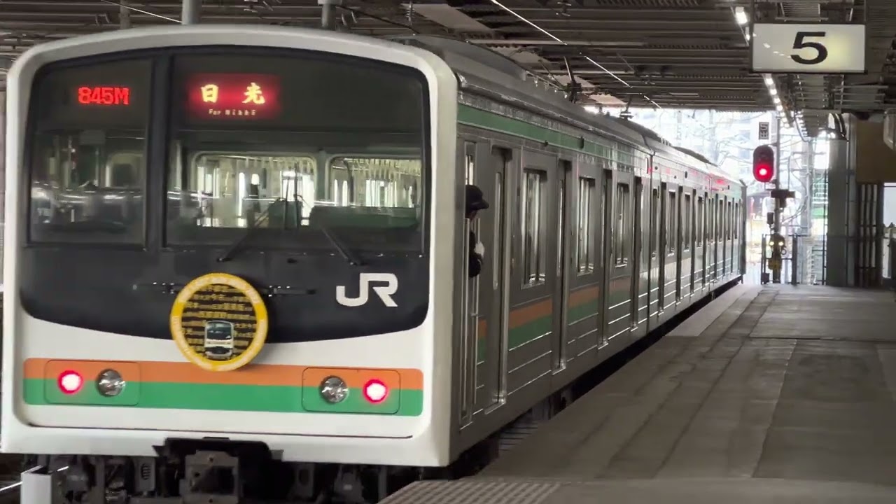 スカンク で 宇都宮, Japan