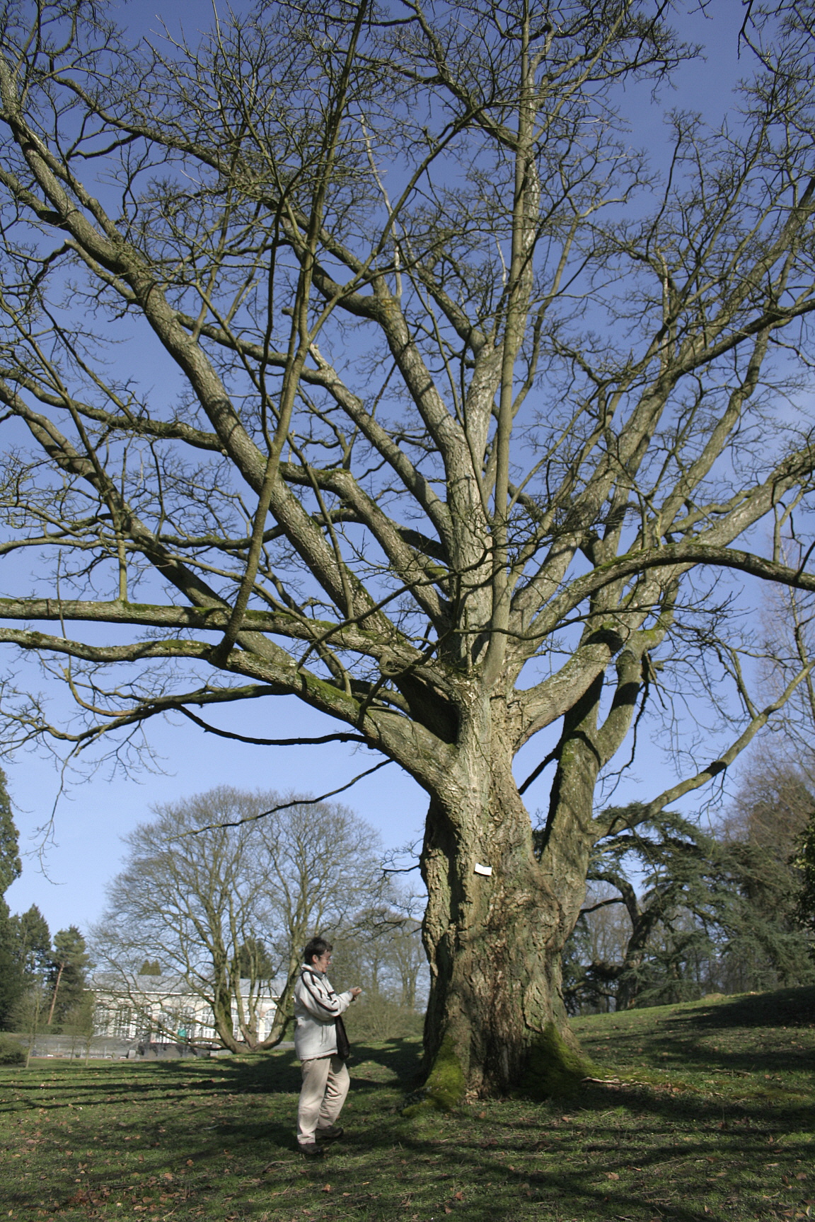 Telefoon van Hooker in Morlanwelz-Mariemont, België