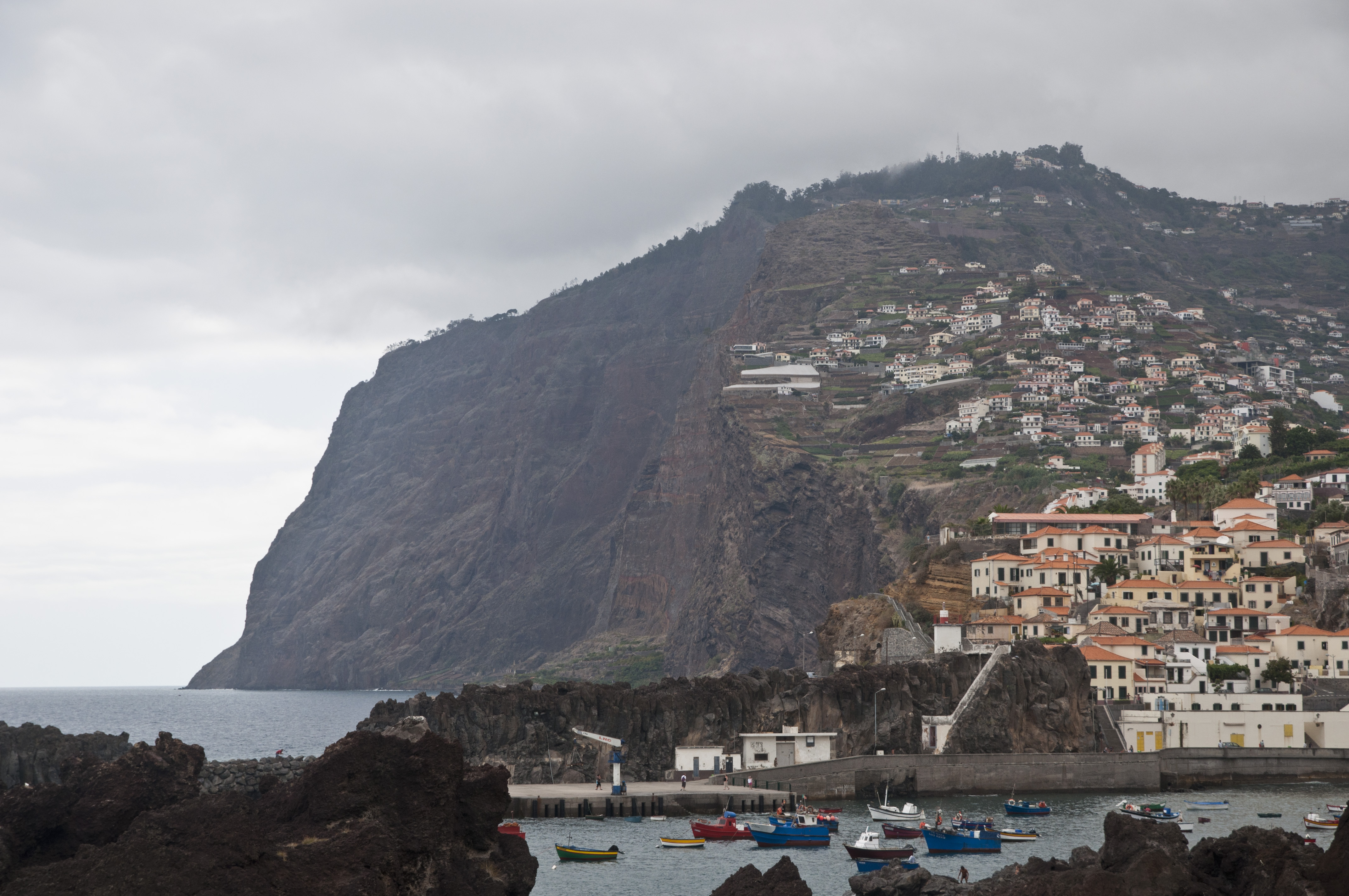 Namoro adulto  Madeira