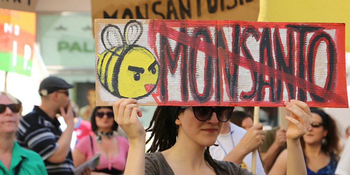 Monsanto. 